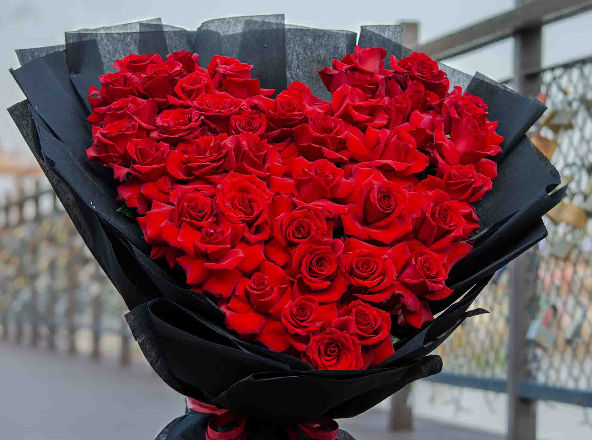 Emotion | Valentine's Day 