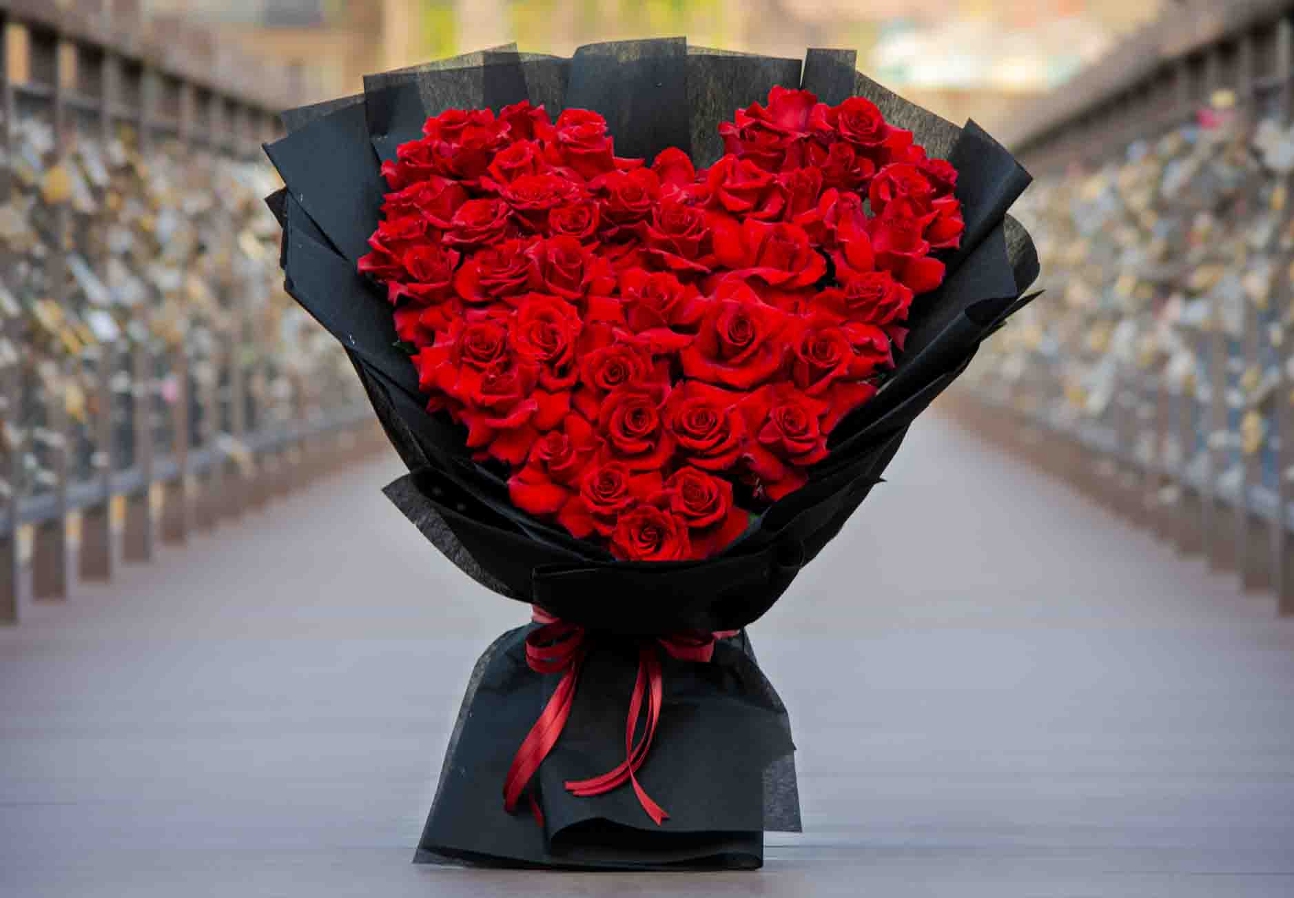 Emotion | Valentine's Day 