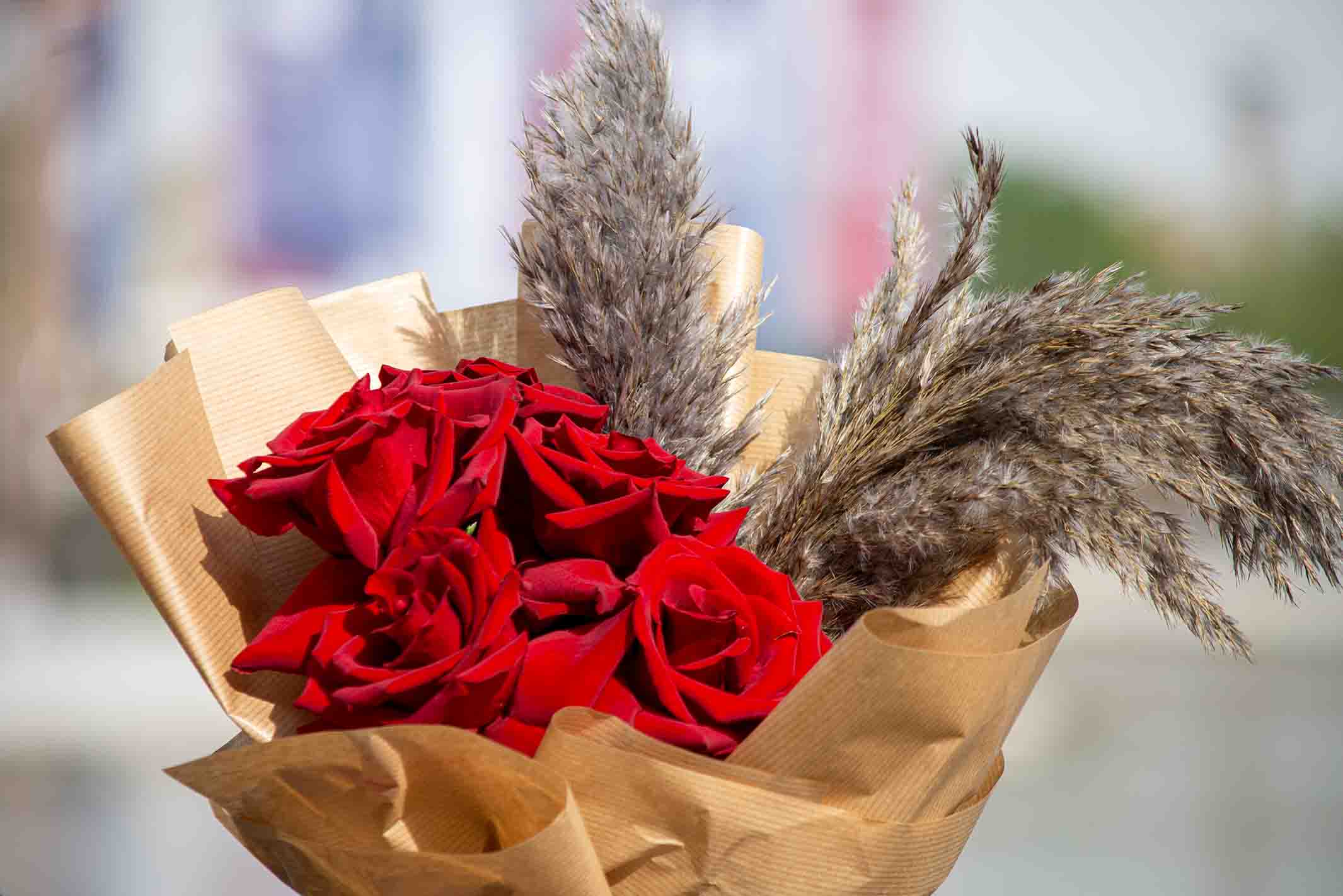 Hope | Valentine's Day 