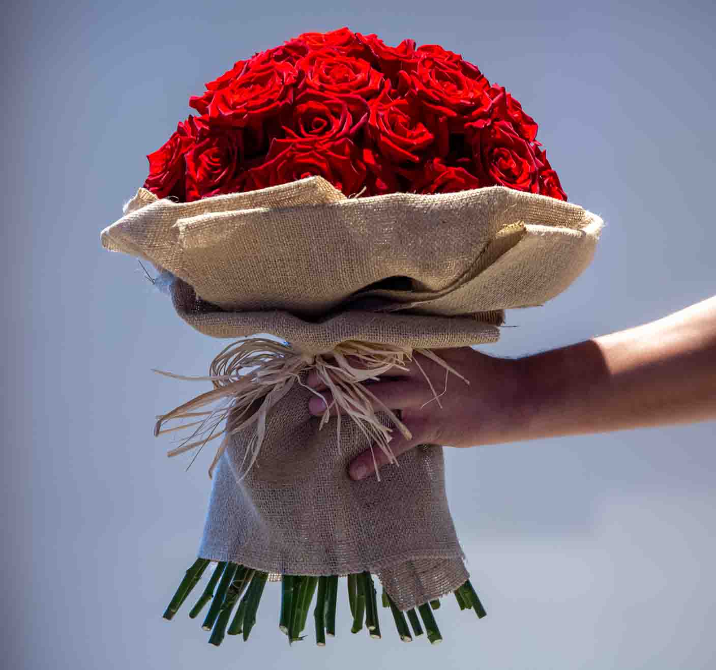 Something Special | Valentine's Day 