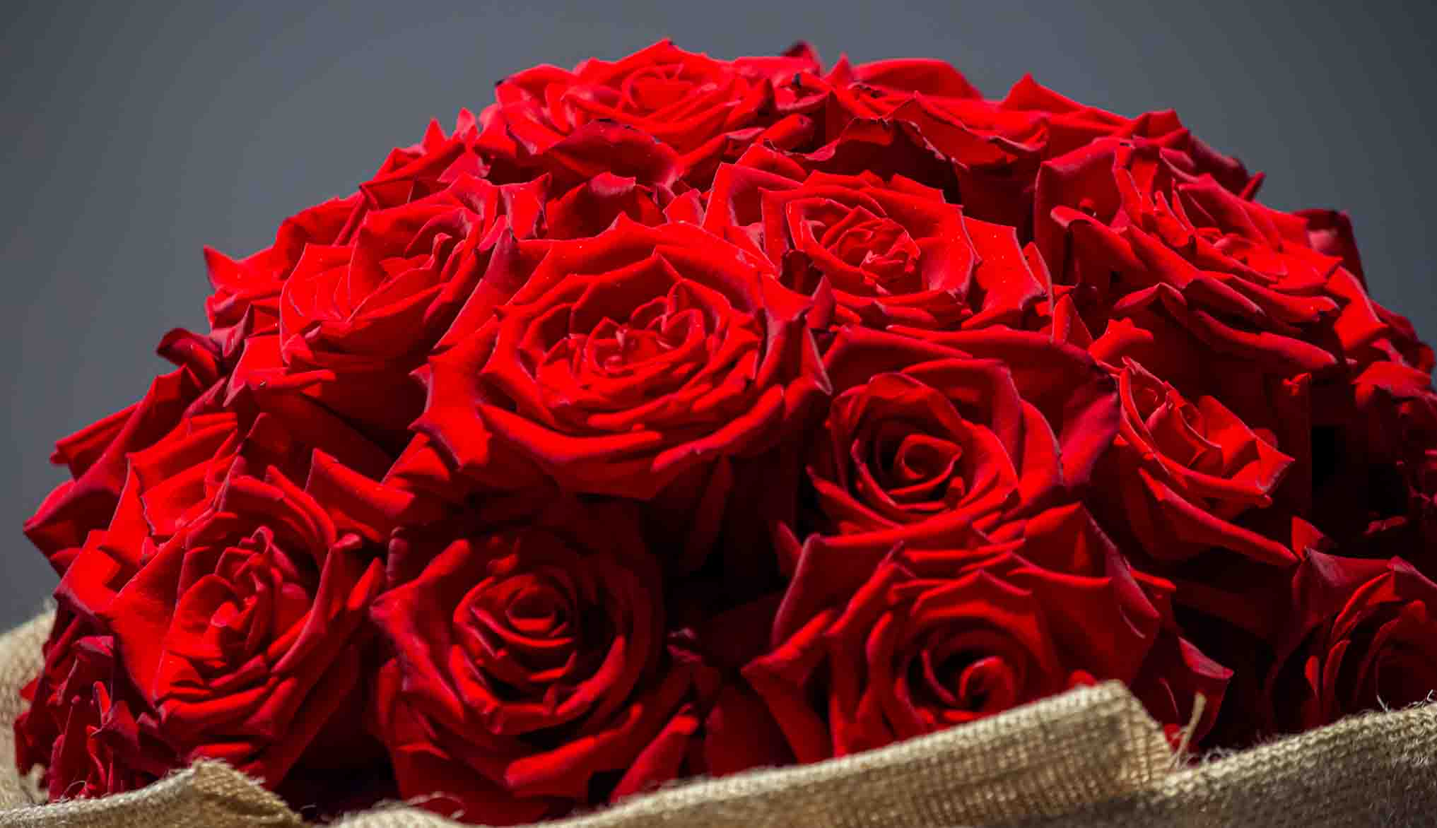 Something Special | عيد الحب 