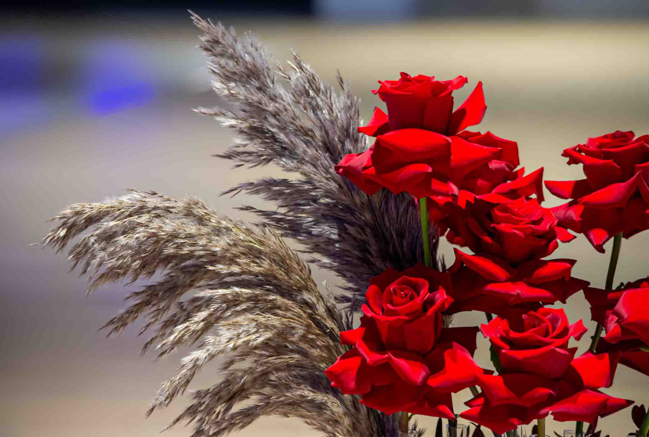 Attractive | Valentine's Day 