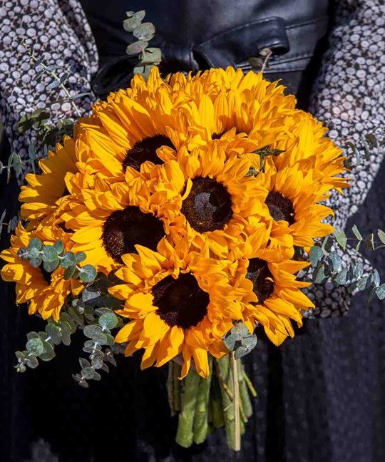 Sunflower Bouquet | باقة اليد 