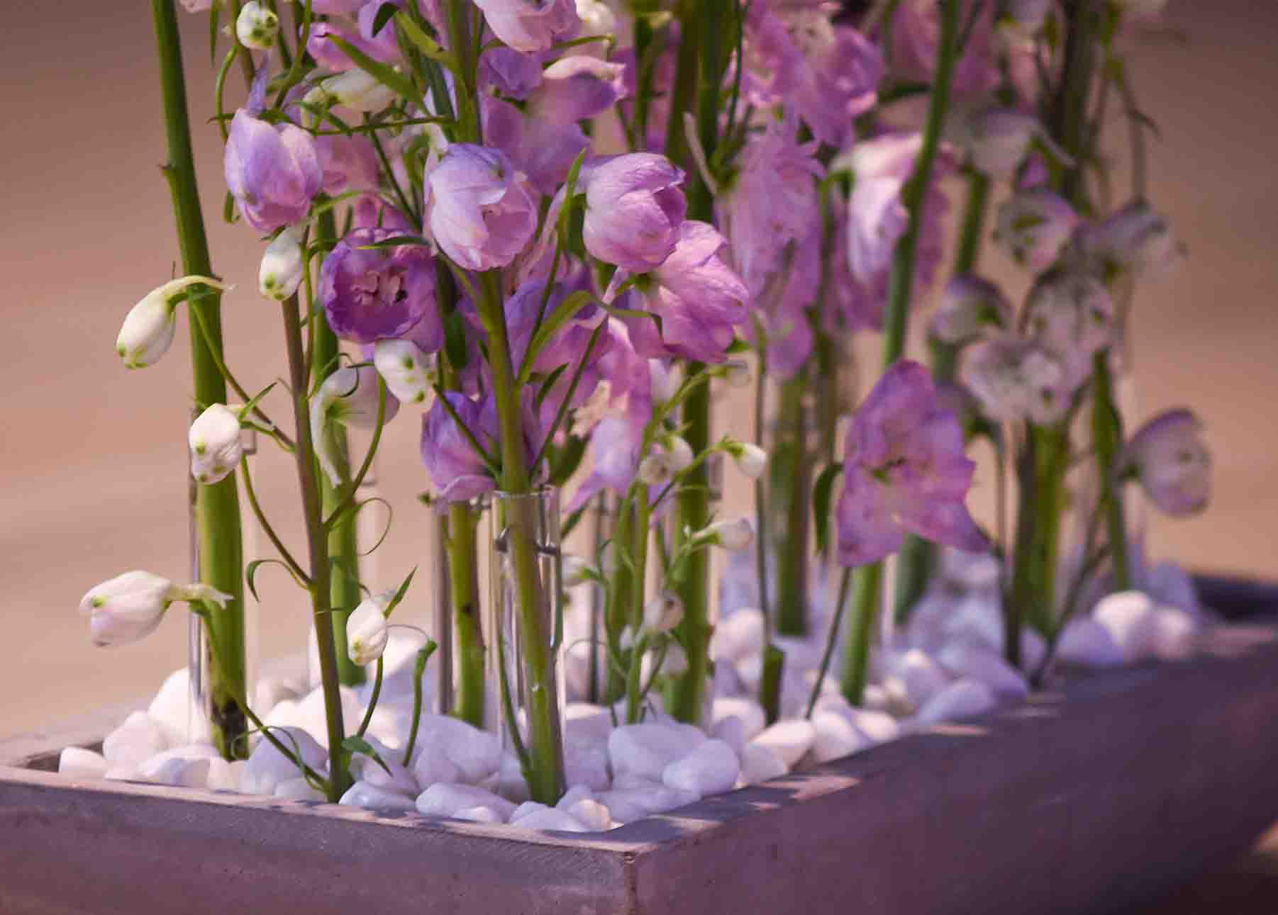 Luxury | Arrangements 