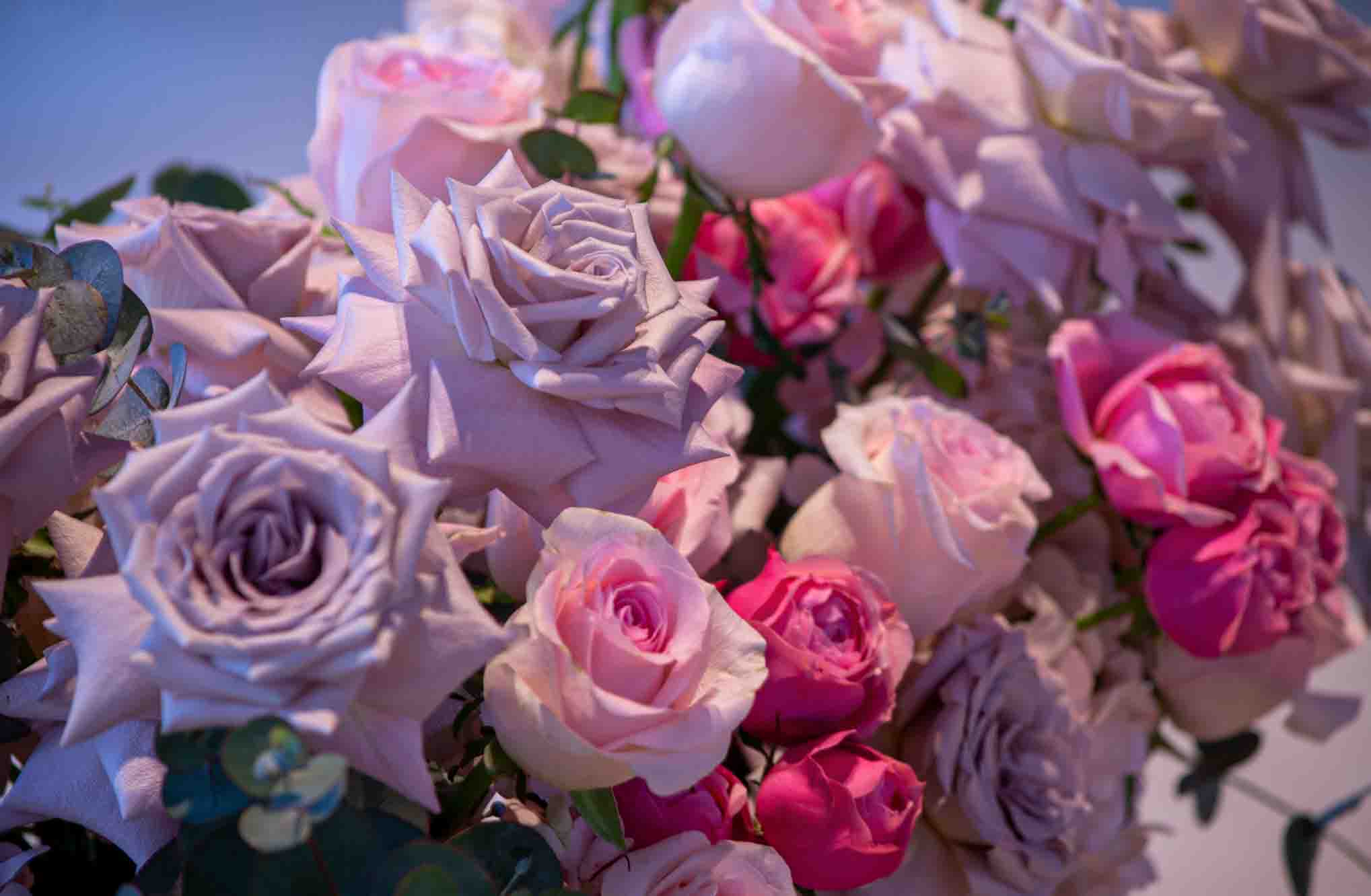 Celebrating Love | Arrangements 